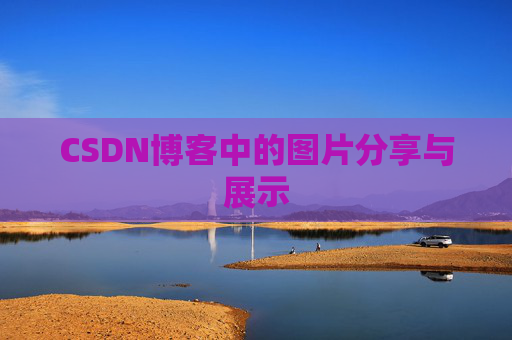 CSDN博客中的图片分享与展示